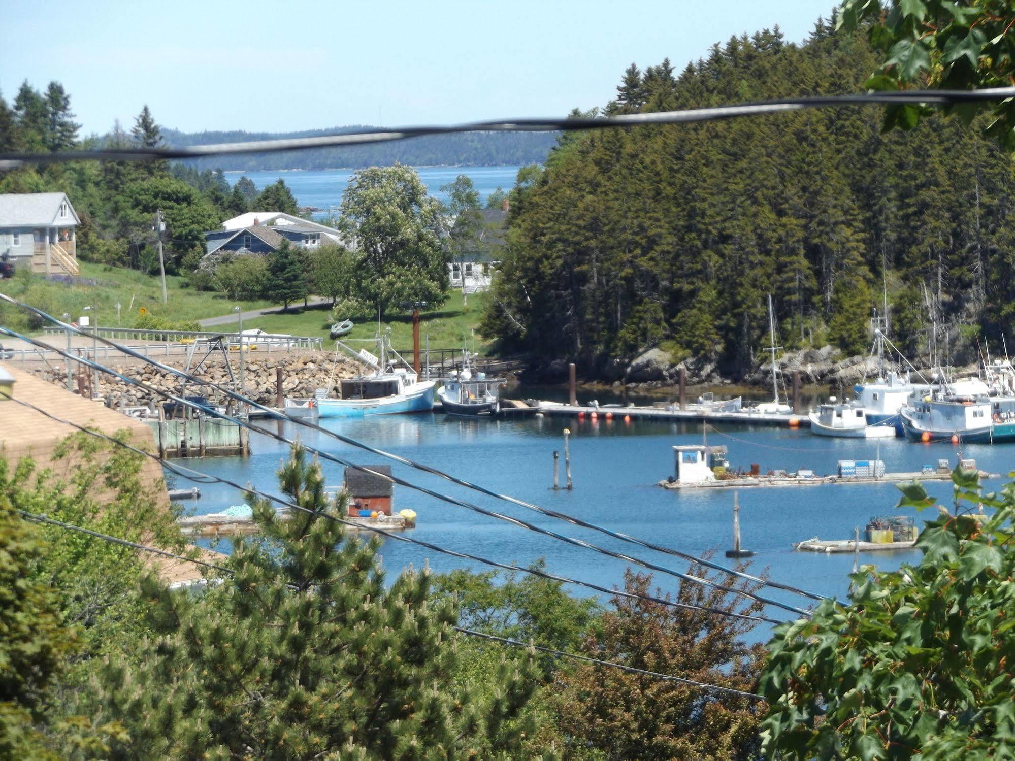 Deer Island Inn Lords Cove Dış mekan fotoğraf